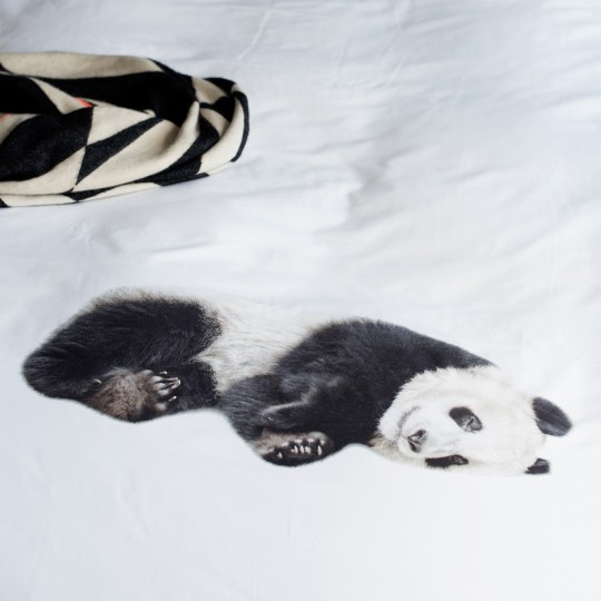Snurk Bettwäsche Garnitur PANDA 160x210+65x100 cm