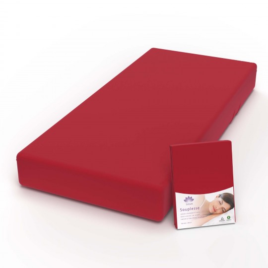 Fixleintuch Jersey Souplesse