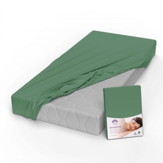 Fixleintuch Jersey Souplesse efeu 41