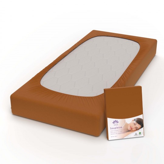 Fixleintuch Jersey Souplesse rost 71