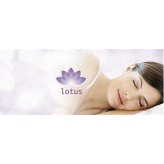 Lotus Bettwäsche Jersey MALEA grün