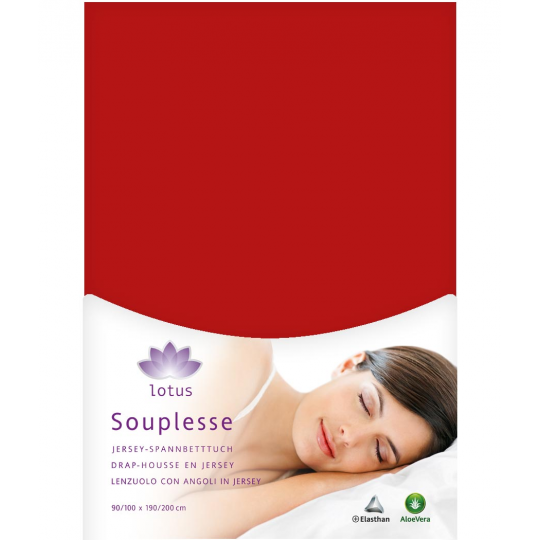 Fixleintuch Jersey Souplesse