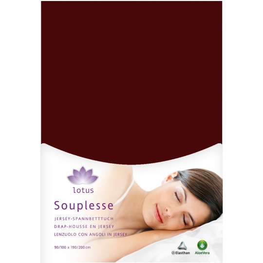 Fixleintuch Jersey Souplesse