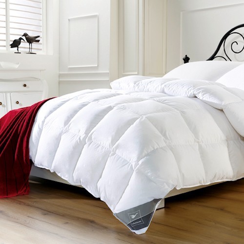 Kaiserlich schlafen! Hochwertige Duvets - TOP Qualität zu TOP Preisen.